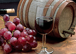 VinsAlentours